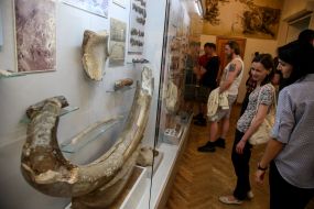 Exhibition "The Art of Mammoth Hunters"
