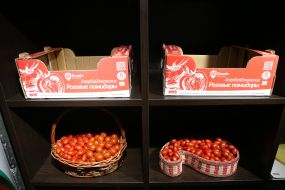 Baskets with tomatoes