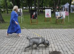 A woman is walking with a dog