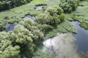 Sovskа ponds