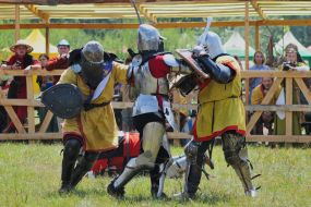 Фестиваль «Сиверские викинги-2018»