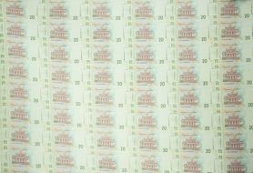 Banknotes with a nominal value of UAH 20 of a new sample