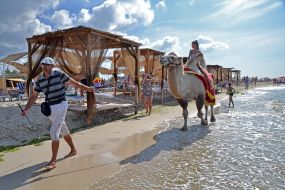 A man is leading a camel