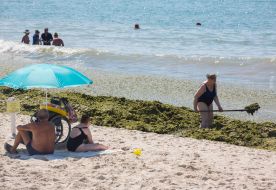 The woman is cleaning the beach