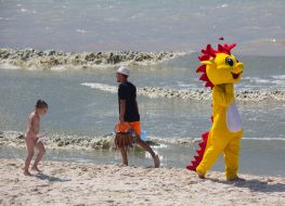 Animator and seller on the beach