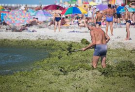 The man is cleaning the beach