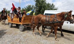 Horse with a cart