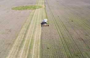 Збирання врожаю вівса