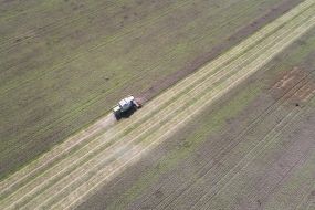 Збирання врожаю вівса