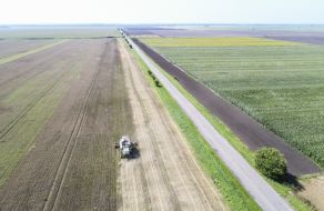 Збирання врожаю вівса