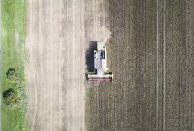 Збирання врожаю вівса