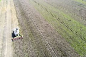 Збирання врожаю вівса