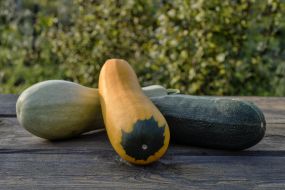 Zucchini on the table