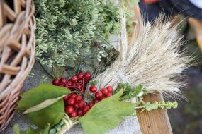 Bouquet of ears and cabbage