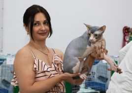 Show "Golden Cat of Chernigov"