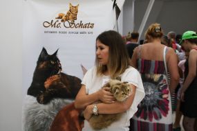 Show "Golden Cat of Chernigov"