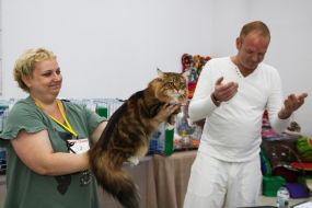 The judge estimates the cat