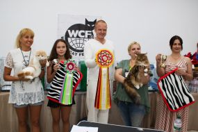 Show "Golden Cat of Chernigov"