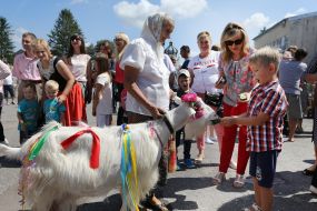 Мальчик кормит козу 