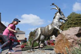 Памятник козе