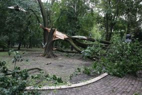 Consequences of a rain in Kiev, August 16, 2018.