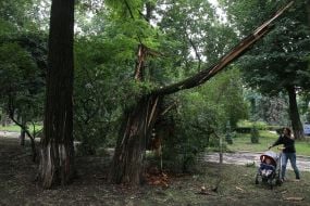 Consequences of a rain in Kiev, August 16, 2018.