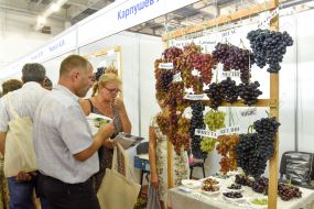 Golden Grosso of Ukraine Exhibition in Zaporozhye