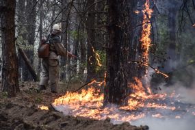 Лесной пожар