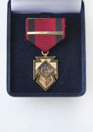 "The Golden Cross of Merit" by Vasily Cook