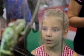 Дівчинка розглядає хамелеона