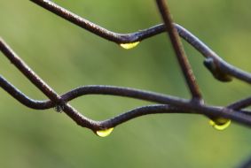 Drops with rust on metal rods