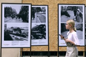 Девушка рассматривает стенды с фотографиями