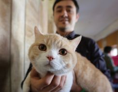A man holds a cat