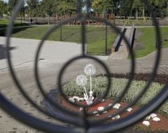 Flower bed in the park "Natalka"