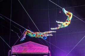 Acrobats under the dome of the circus