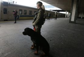 Border guard with official dog
