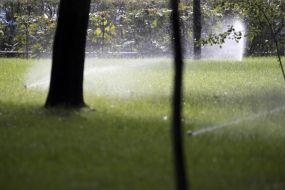 Updated Syretsky Park