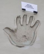 The palm print of Marina Poroshenko