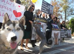 All-Ukrainian March for animal rights