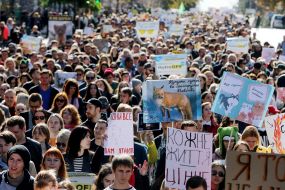 All-Ukrainian March for animal rights