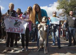 All-Ukrainian March for animal rights in Kiev
