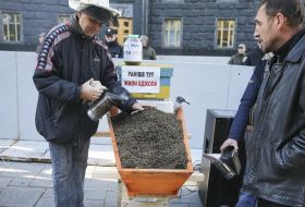 Beekeeper near the coffin with dead bees