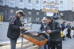 Beekeeper near the coffin with dead bees