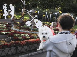 Visitor of the exhibition with a dog in his hands photographs a flower bed