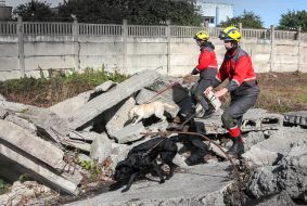 Training "Elimination of Emergency at Industrial Facilities"