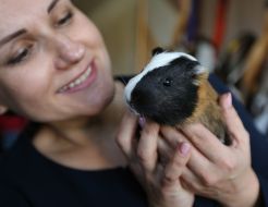 Girl holding guinea pig