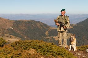 Пограничник