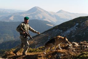 Пограничник