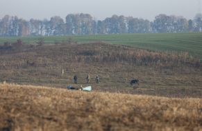 Su-27 crash site