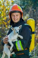 The lifeguard holds the puppy